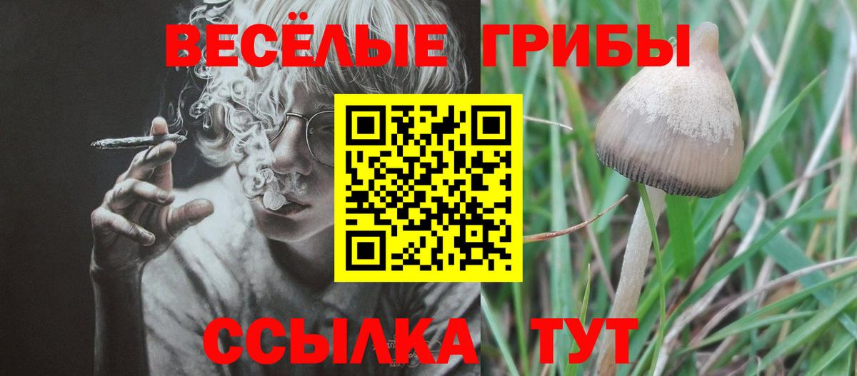 Псилоцибиновые грибы MAGIC MUSHROOMS  Вход с VPN  Галлюциногенные грибы мухоморы  магазин    Таганрог 